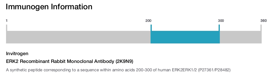 ERK2 Recombinant Rabbit Monoclonal Antibody (2K9N9)