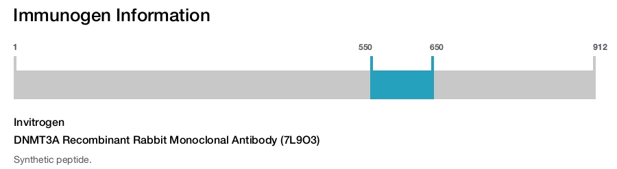DNMT3A Recombinant Rabbit Monoclonal Antibody (7L9O3)