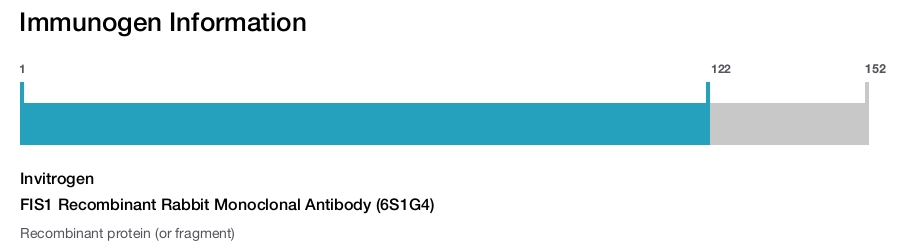 FIS1 Recombinant Rabbit Monoclonal Antibody (6S1G4)