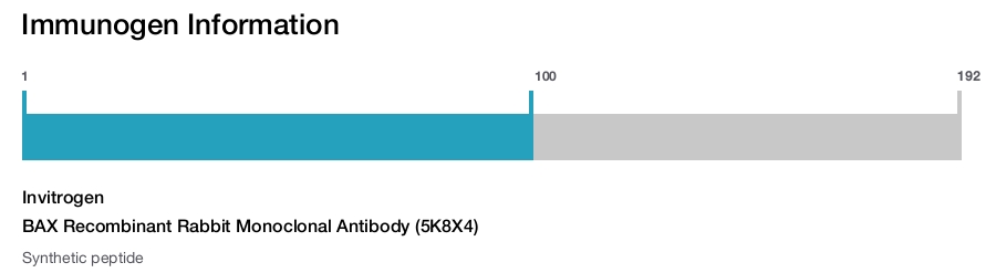 BAX Recombinant Rabbit Monoclonal Antibody (5K8X4)