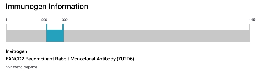FANCD2 Recombinant Rabbit Monoclonal Antibody (7U2D6)