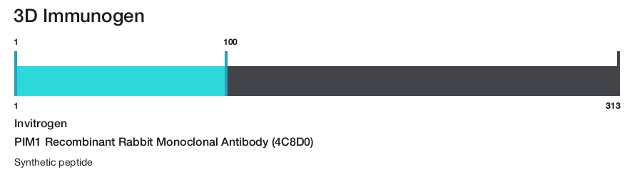 PIM1 Recombinant Rabbit Monoclonal Antibody (4C8D0)