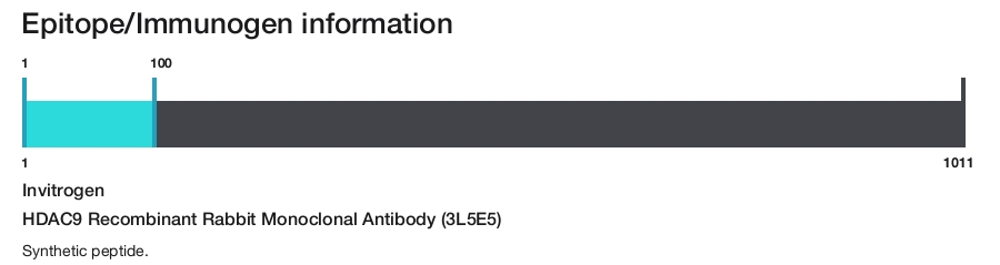 HDAC9 Recombinant Rabbit Monoclonal Antibody (3L5E5)