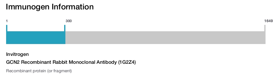 GCN2 Recombinant Rabbit Monoclonal Antibody (1G2Z4)