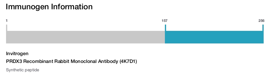PRDX3 Recombinant Rabbit Monoclonal Antibody (4K7D1)