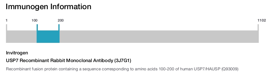 USP7 Recombinant Rabbit Monoclonal Antibody (3J7G1)