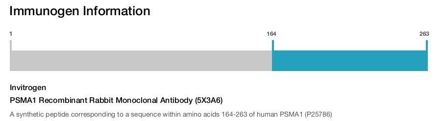 PSMA1 Recombinant Rabbit Monoclonal Antibody (5X3A6)