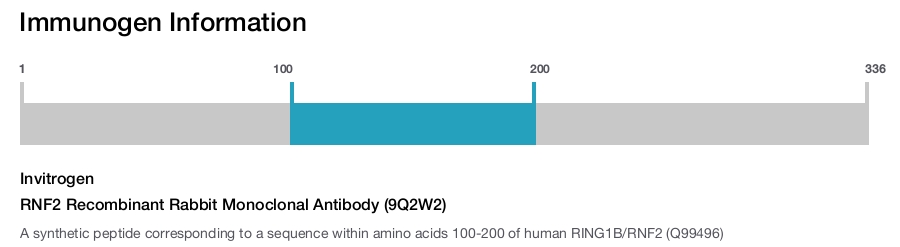 RNF2 Recombinant Rabbit Monoclonal Antibody (9Q2W2)