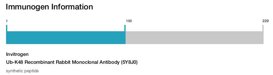 Ub-K48 Recombinant Rabbit Monoclonal Antibody (5Y8J0)