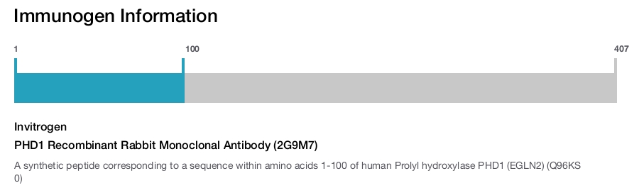 PHD1 Recombinant Rabbit Monoclonal Antibody (2G9M7)