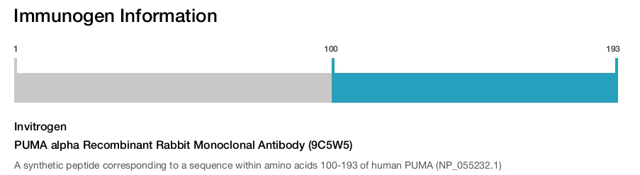 PUMA alpha Recombinant Rabbit Monoclonal Antibody (9C5W5)