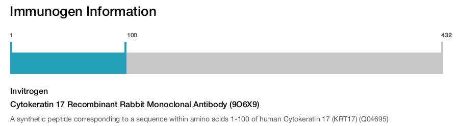 Cytokeratin 17 Recombinant Rabbit Monoclonal Antibody (9O6X9)