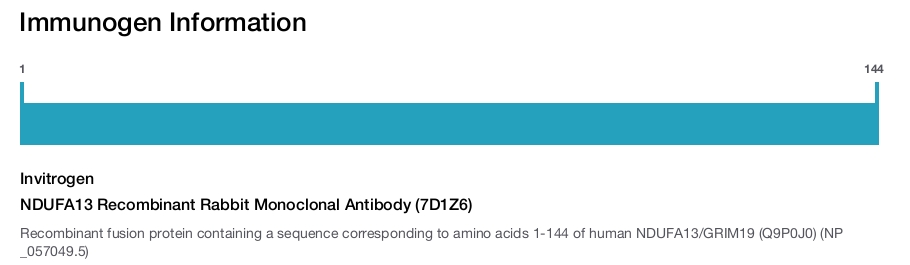 NDUFA13 Recombinant Rabbit Monoclonal Antibody (7D1Z6)