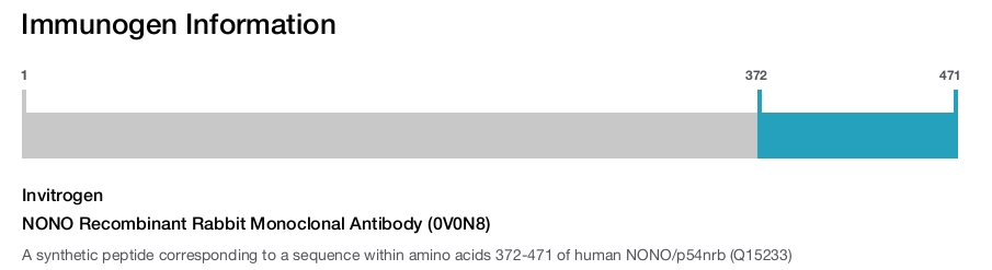 NONO Recombinant Rabbit Monoclonal Antibody (0V0N8)