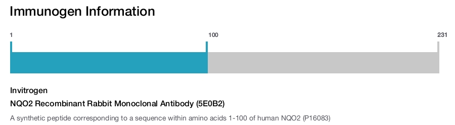NQO2 Recombinant Rabbit Monoclonal Antibody (5E0B2)