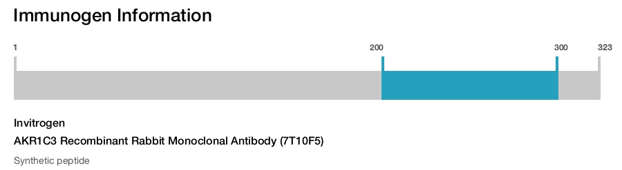 AKR1C3 Recombinant Rabbit Monoclonal Antibody (7T10F5)