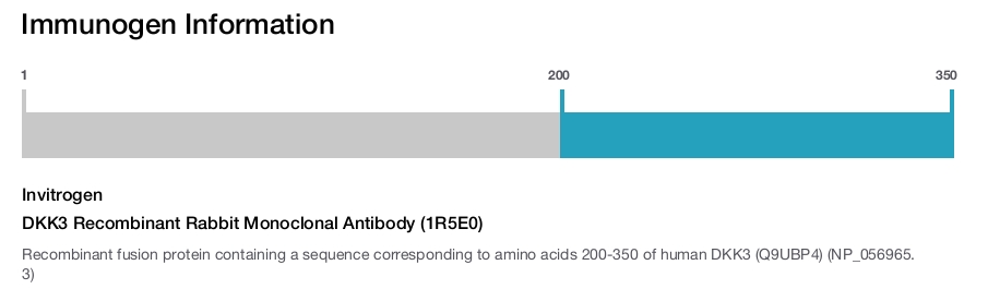 DKK3 Recombinant Rabbit Monoclonal Antibody (1R5E0)