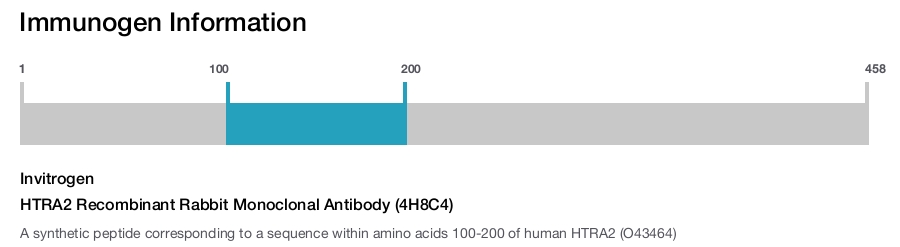 HTRA2 Recombinant Rabbit Monoclonal Antibody (4H8C4)