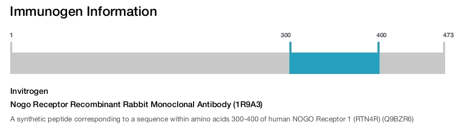 Nogo Receptor Recombinant Rabbit Monoclonal Antibody (1R9A3)