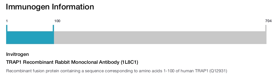 TRAP1 Recombinant Rabbit Monoclonal Antibody (1L8C1)