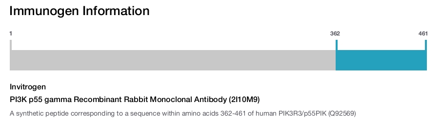PI3K p55 gamma Recombinant Rabbit Monoclonal Antibody (2I10M9)