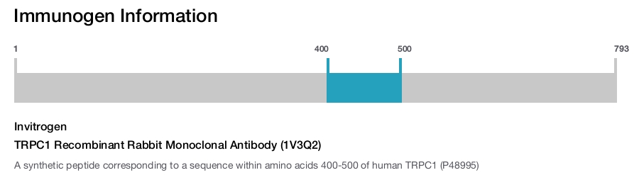 TRPC1 Recombinant Rabbit Monoclonal Antibody (1V3Q2)