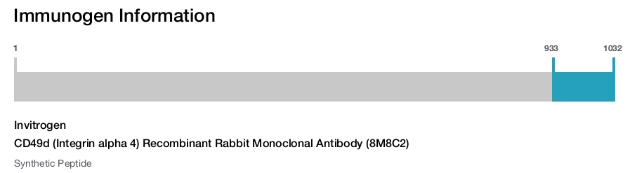 CD49d (Integrin alpha 4) Recombinant Rabbit Monoclonal Antibody (8M8C2)
