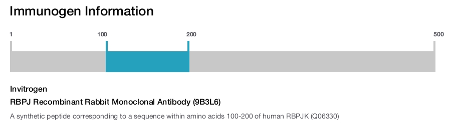 RBPJ Recombinant Rabbit Monoclonal Antibody (9B3L6)