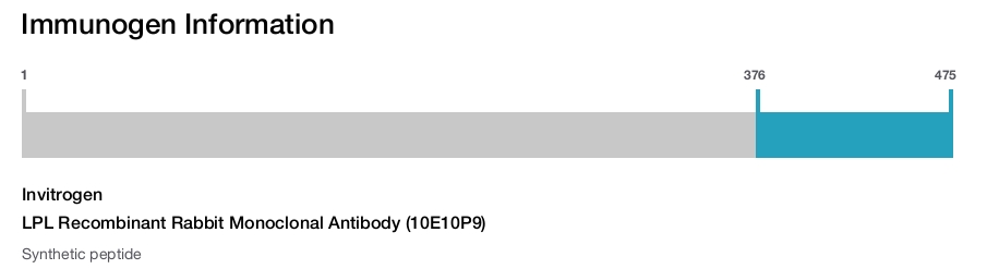LPL Recombinant Rabbit Monoclonal Antibody (10E10P9)