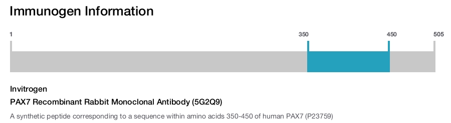 PAX7 Recombinant Rabbit Monoclonal Antibody (5G2Q9)