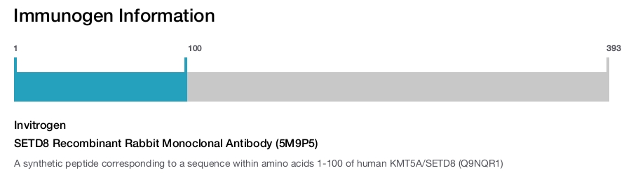 SETD8 Recombinant Rabbit Monoclonal Antibody (5M9P5)