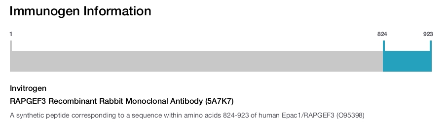 RAPGEF3 Recombinant Rabbit Monoclonal Antibody (5A7K7)
