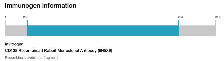 CD138 Recombinant Rabbit Monoclonal Antibody (8H5X9)