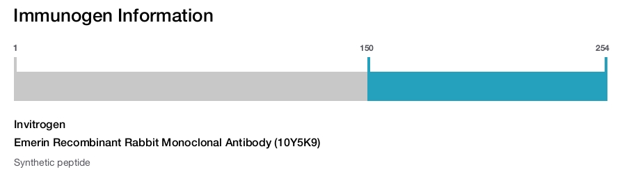 Emerin Recombinant Rabbit Monoclonal Antibody (10Y5K9)