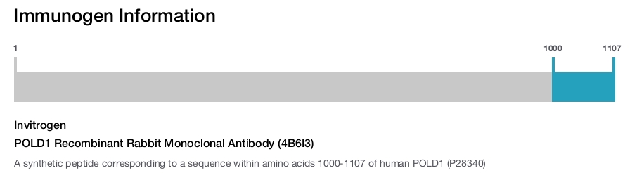 POLD1 Recombinant Rabbit Monoclonal Antibody (4B6I3)