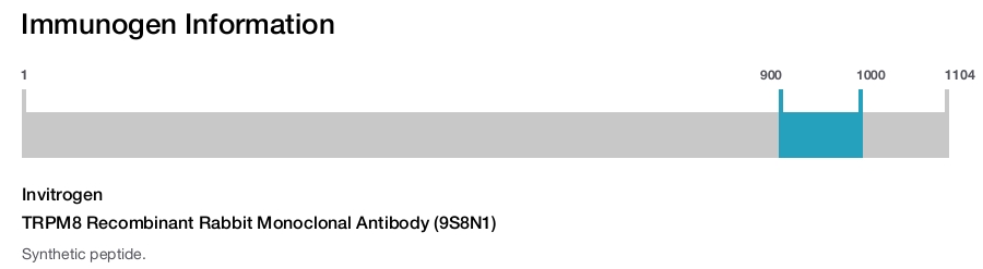 TRPM8 Recombinant Rabbit Monoclonal Antibody (9S8N1)