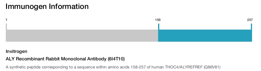 ALY Recombinant Rabbit Monoclonal Antibody (6I4T10)