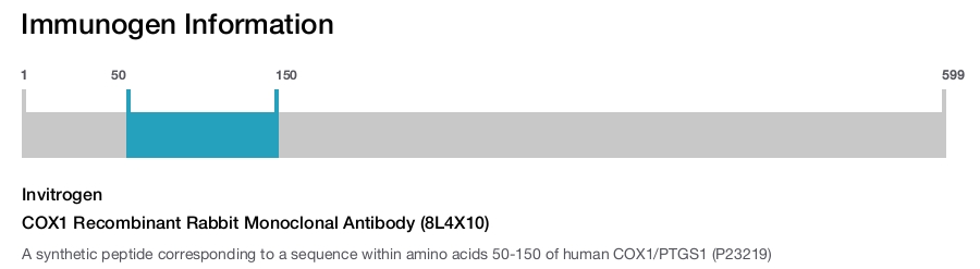 COX1 Recombinant Rabbit Monoclonal Antibody (8L4X10)