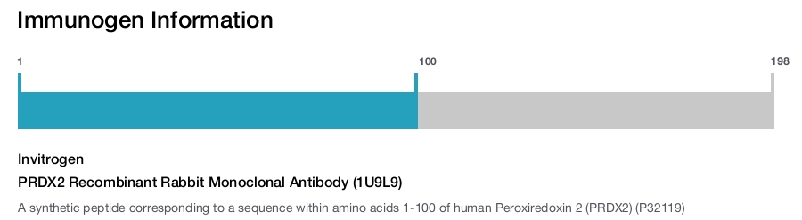 PRDX2 Recombinant Rabbit Monoclonal Antibody (1U9L9)