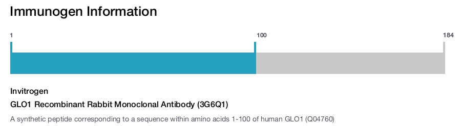 GLO1 Recombinant Rabbit Monoclonal Antibody (3G6Q1)