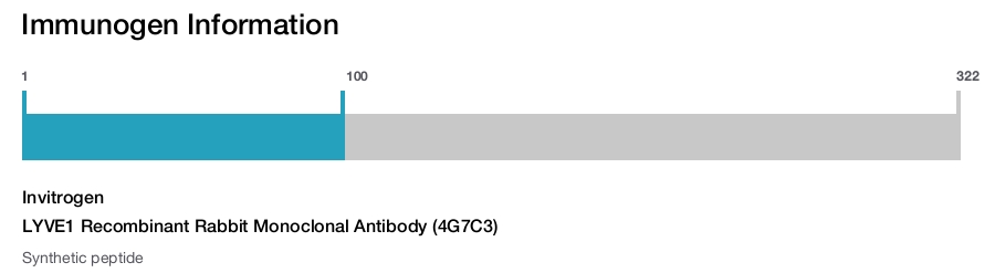 LYVE1 Recombinant Rabbit Monoclonal Antibody (4G7C3)
