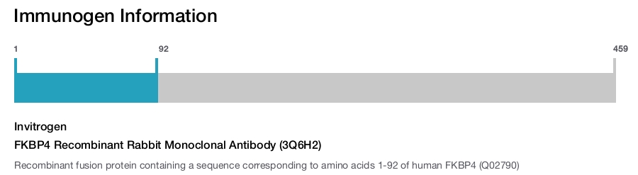 FKBP4 Recombinant Rabbit Monoclonal Antibody (3Q6H2)