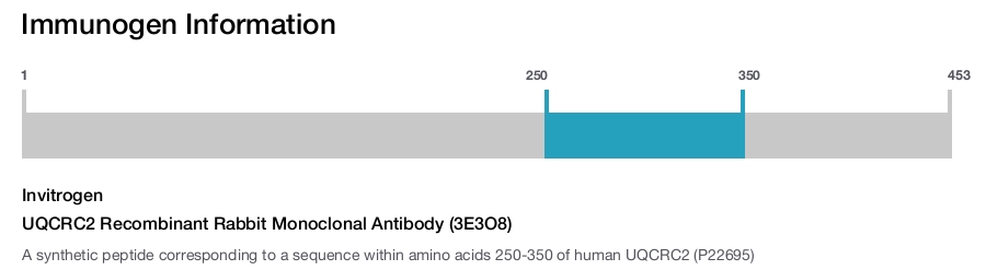 UQCRC2 Recombinant Rabbit Monoclonal Antibody (3E3O8)