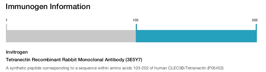 Tetranectin Recombinant Rabbit Monoclonal Antibody (3E5Y7)