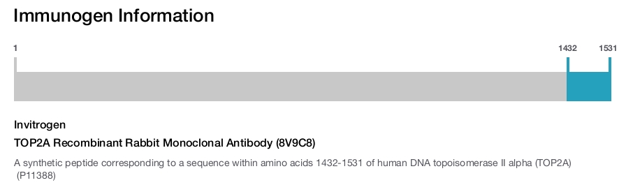 TOP2A Recombinant Rabbit Monoclonal Antibody (8V9C8)