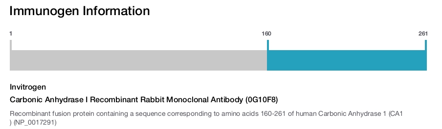 Carbonic Anhydrase I Recombinant Rabbit Monoclonal Antibody (0G10F8)