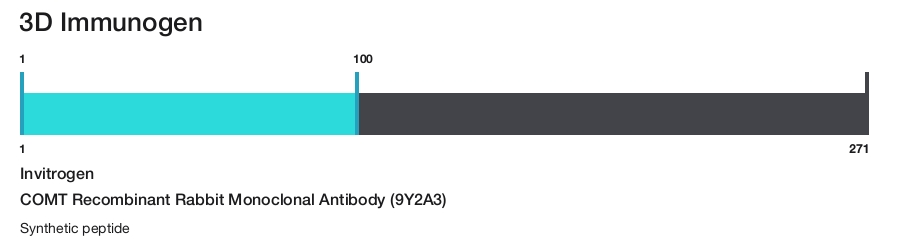 COMT Recombinant Rabbit Monoclonal Antibody (9Y2A3)