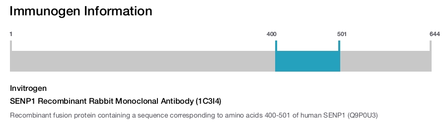 SENP1 Recombinant Rabbit Monoclonal Antibody (1C3I4)