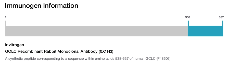 GCLC Recombinant Rabbit Monoclonal Antibody (0X1H3)