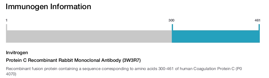 Protein C Recombinant Rabbit Monoclonal Antibody (3W3R7)